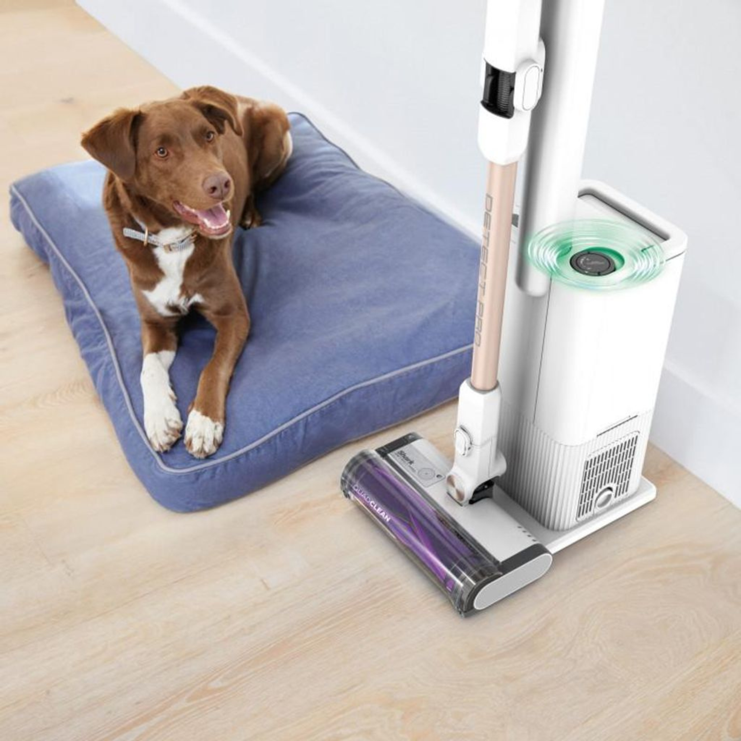 Aspirateur sans fil Shark 2-en-1 (WV362EUT)