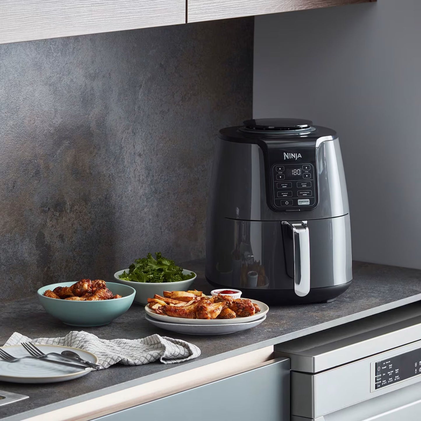 Air Fryer Ninja 3,8L (AF100EU)