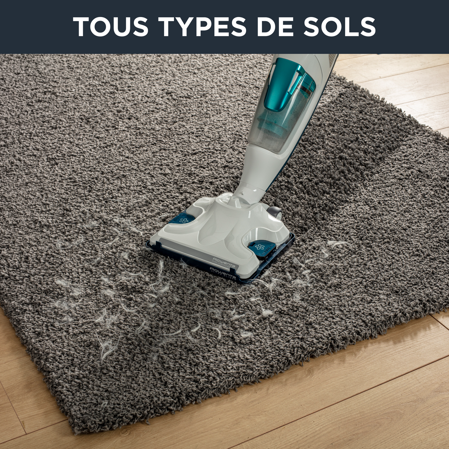 Rowenta Clean & Steam Revolution