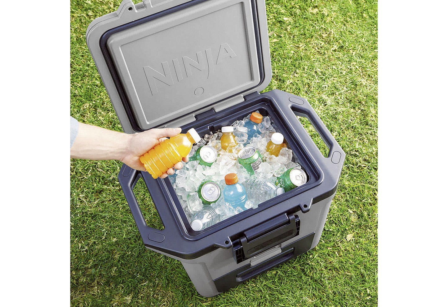 Glacière Ninja FrostVault 28 L grise (FB131EUGY)