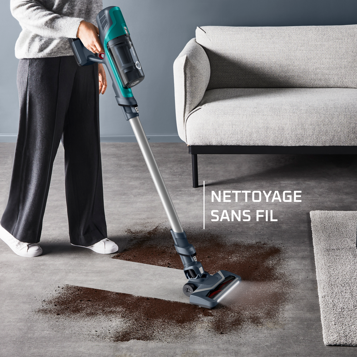 Rowenta X-Pert 6.60 Essential